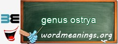 WordMeaning blackboard for genus ostrya